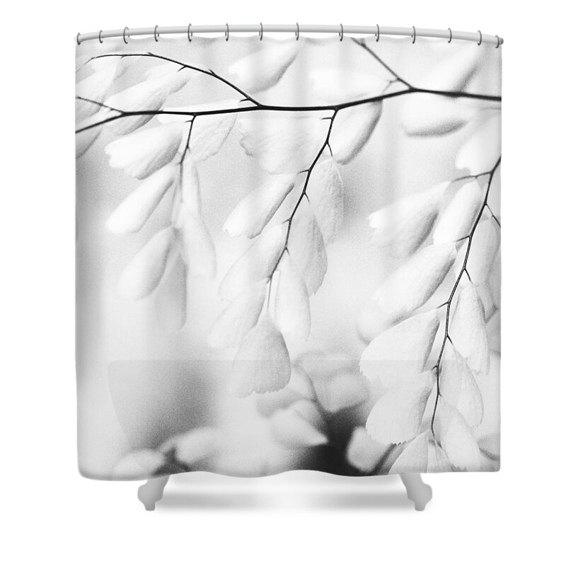 Connie Handscomb Shower Curtain featuring the photograph Passages by Connie Handscomb