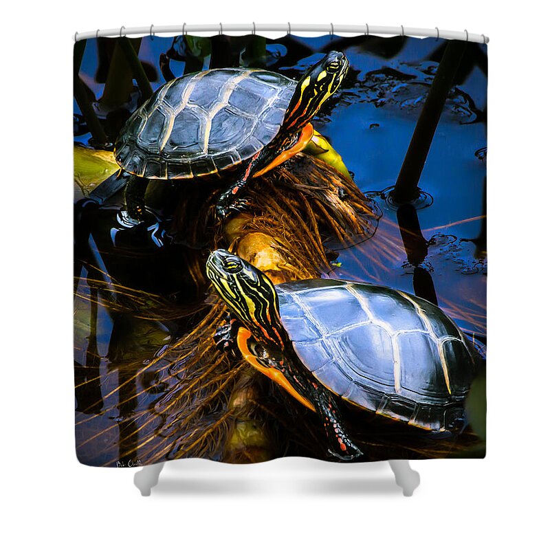 Reptile Shower Curtain featuring the photograph Passing the day with a friend by Bob Orsillo