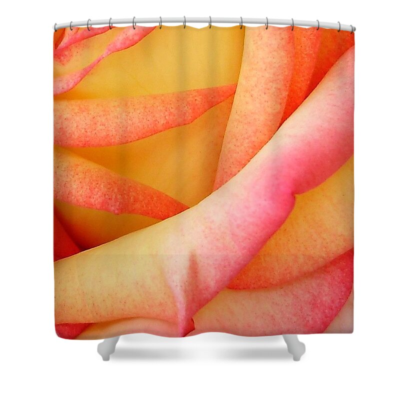 Roses Shower Curtain featuring the photograph Passionate Petals by Anjel B Hartwell