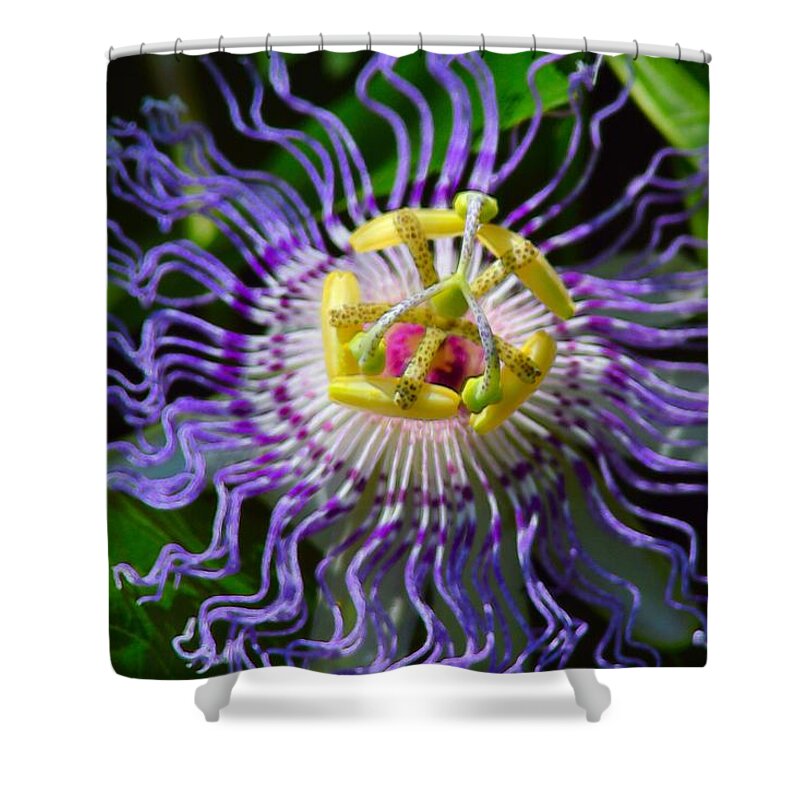 Flower Shower Curtain featuring the photograph Passionflower Spiritual Art by Robyn King