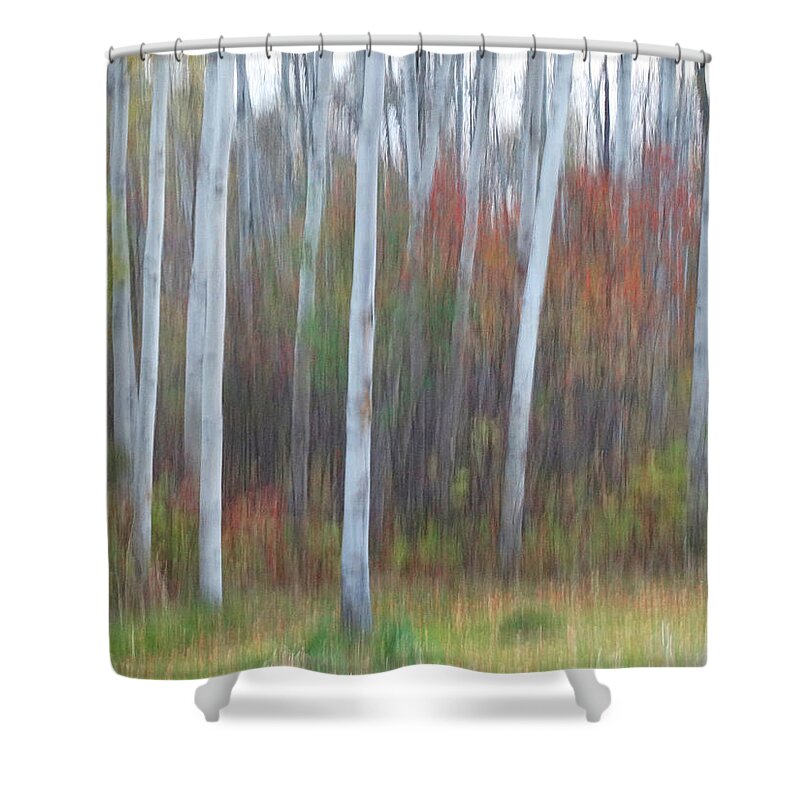 Movement Shower Curtain featuring the photograph Pastel Tree Abstract by David T Wilkinson