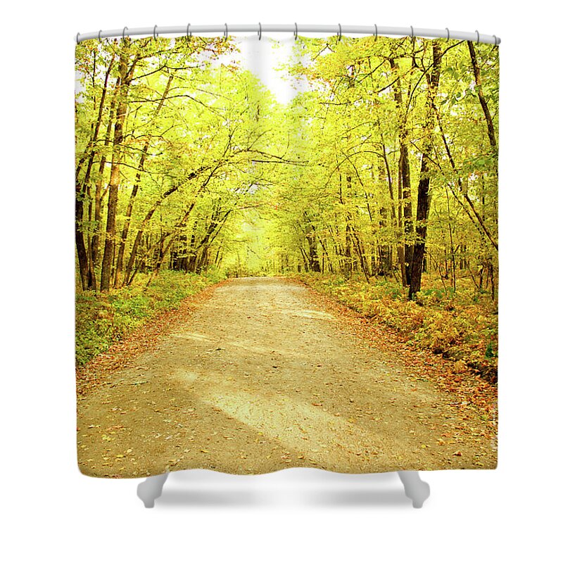 Trail Shower Curtain featuring the photograph Path in the Woods by Becqi Sherman