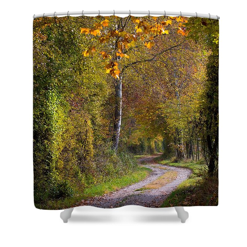 Autumn Shower Curtain featuring the photograph Path Through Autumn Forest by Andreas Berthold