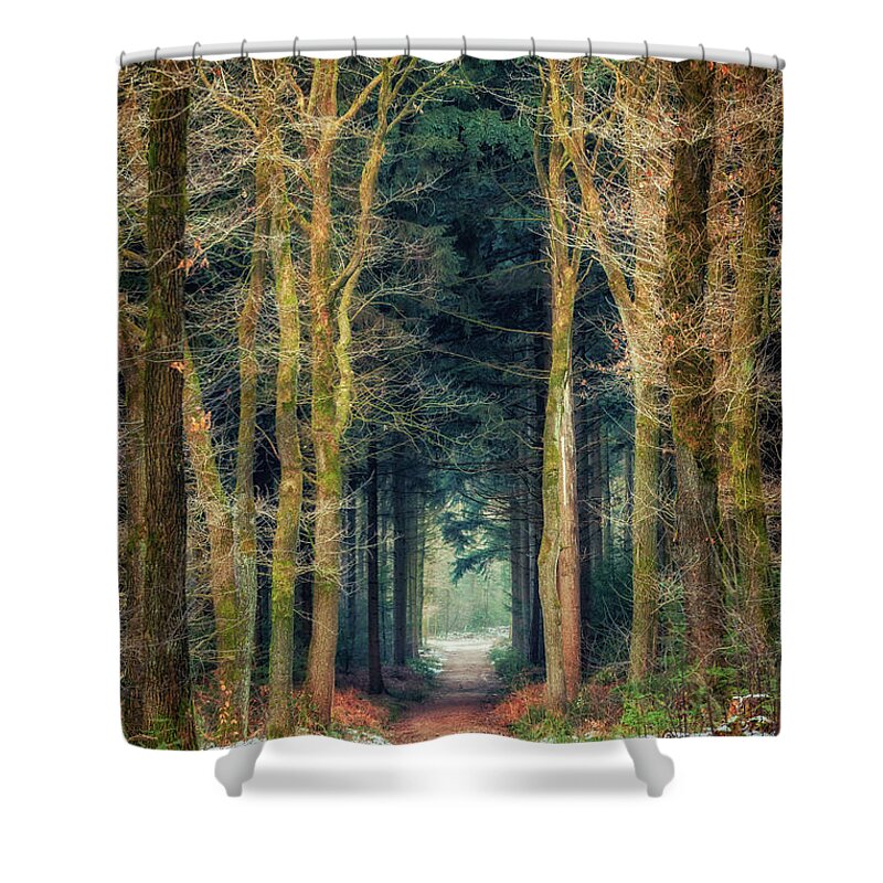 Bergherbos Shower Curtain featuring the photograph Path through Bergherbos forest by Tim Abeln