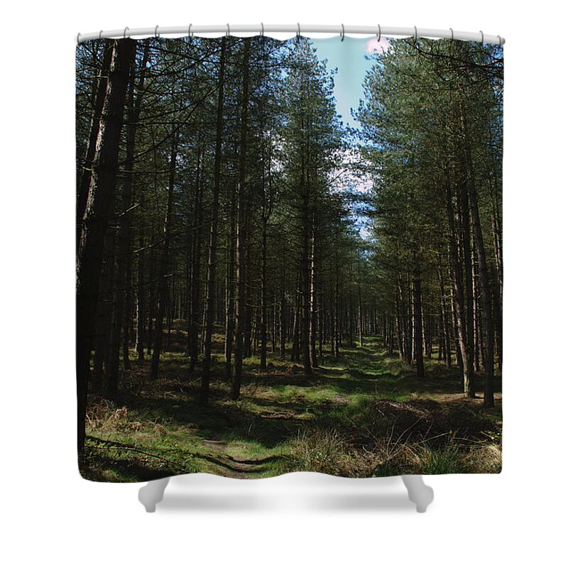 Path Shower Curtain featuring the photograph Path Through Cannock Chase by Adrian Wale