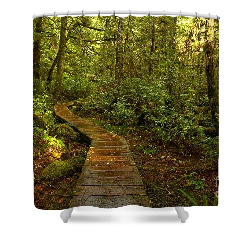 Rainforest Path Shower Curtain featuring the photograph Path To Serenity by Adam Jewell