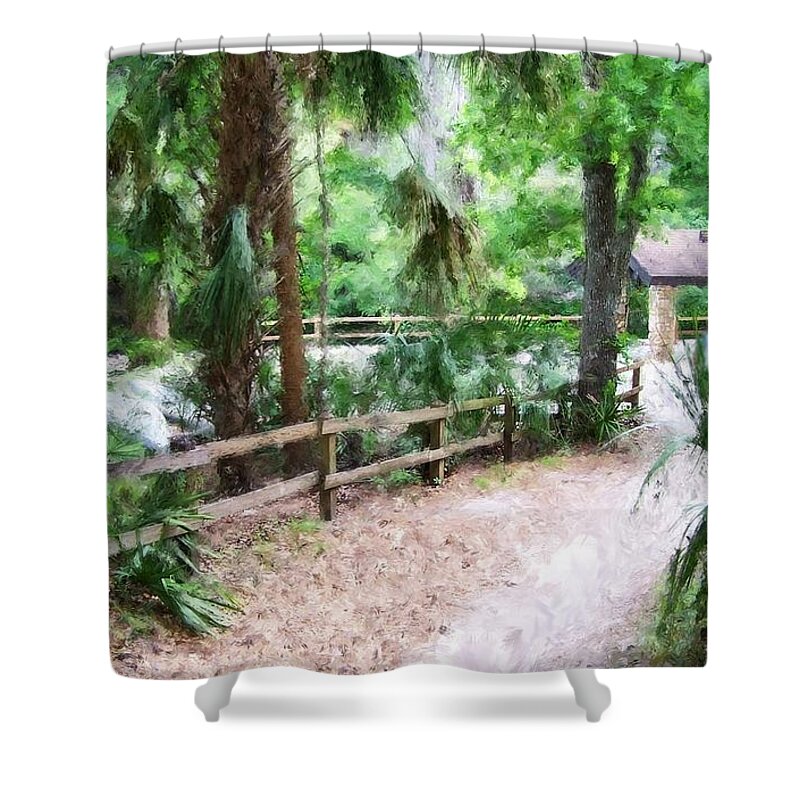 Path Shower Curtain featuring the digital art Path To Shade by Marc Champagne