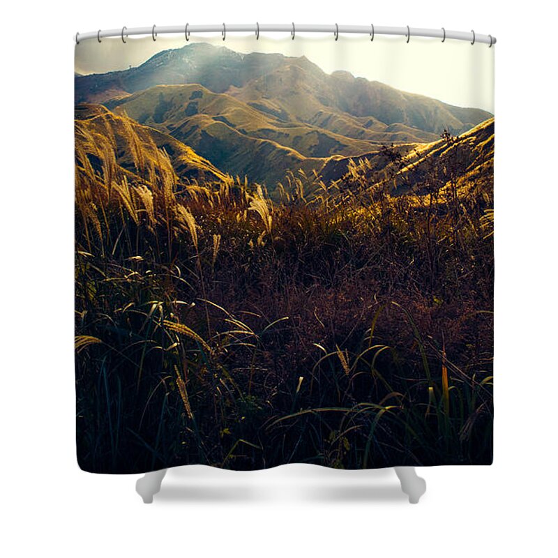 Tall Grass Shower Curtain featuring the photograph Path to the Top by Britten Adams