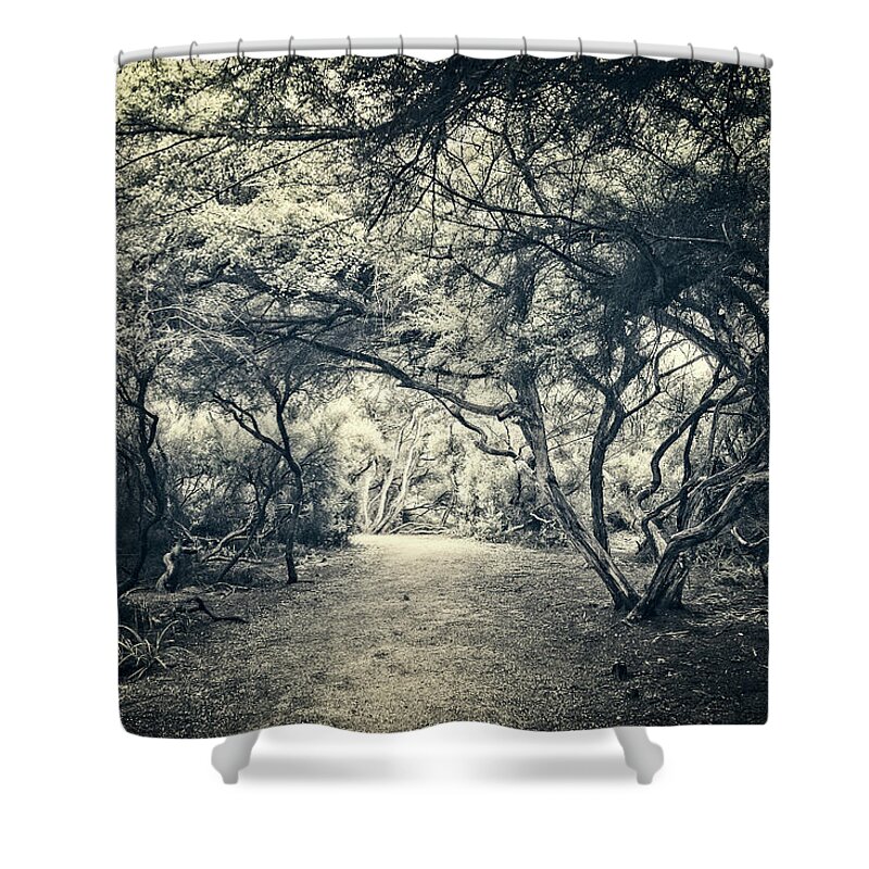 Forest Shower Curtain featuring the photograph Path to the Unknown by Catherine Reading