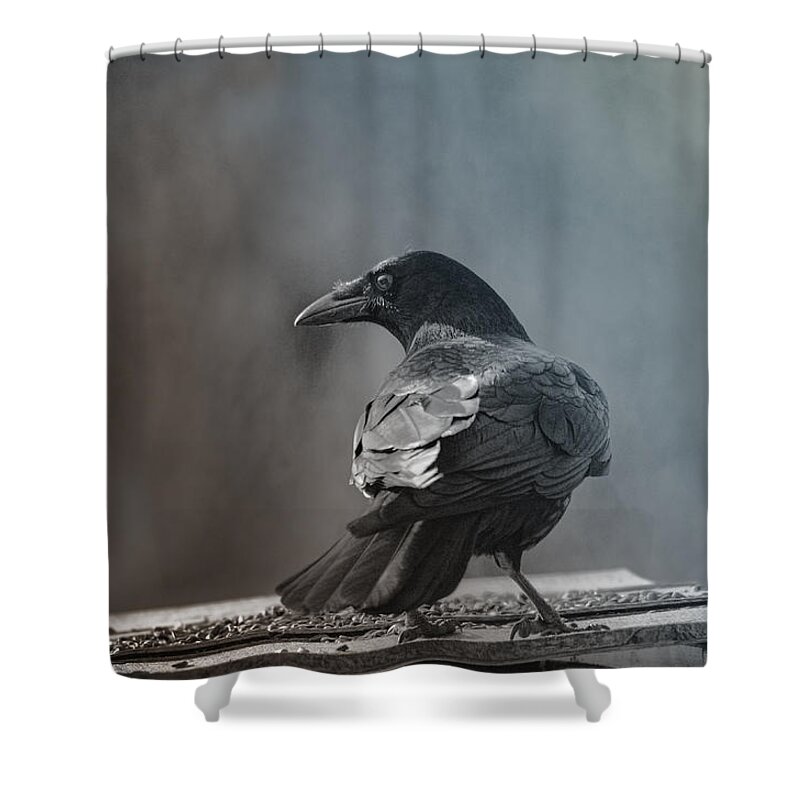 Sue Capuano Shower Curtain featuring the photograph Patriach Of The Flock by Sue Capuano