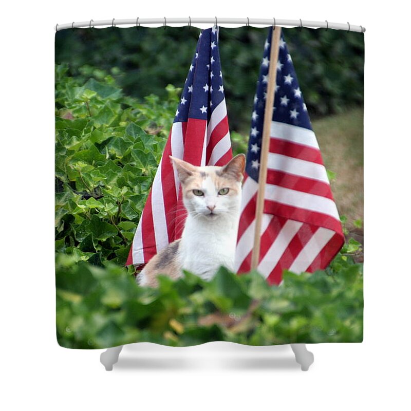 White Cat With Sandy-colored Spots Shower Curtain featuring the photograph Patriotic Cat by Valerie Collins