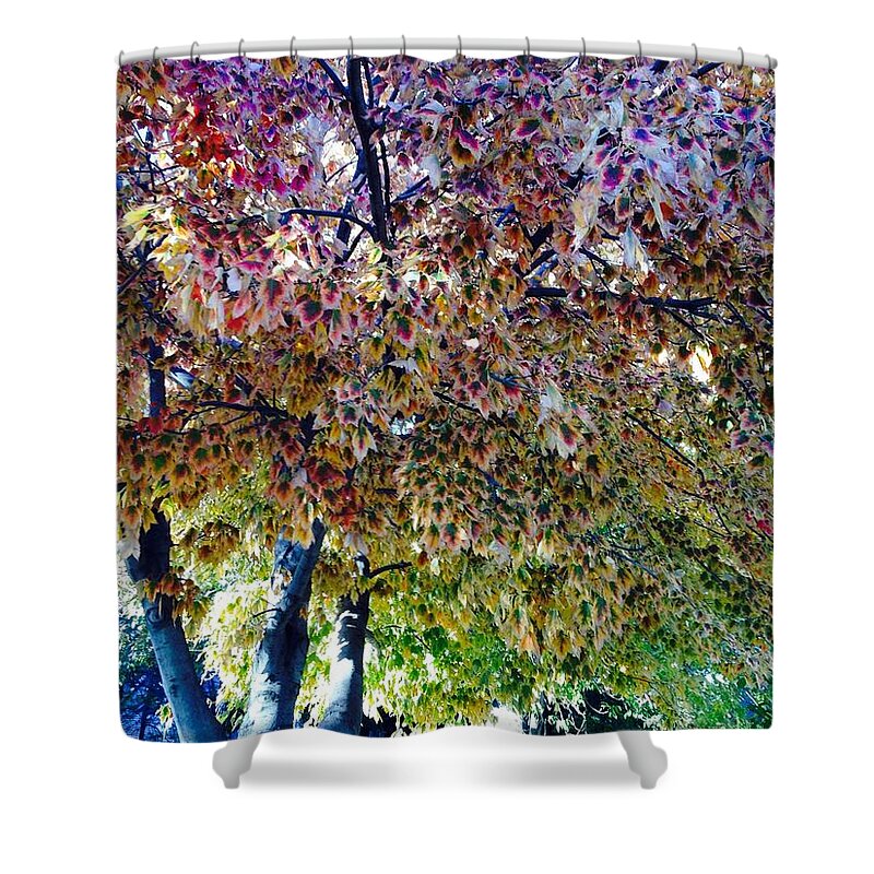 Fall Shower Curtain featuring the photograph Patterned Metamorphosis by Michael Oceanofwisdom Bidwell