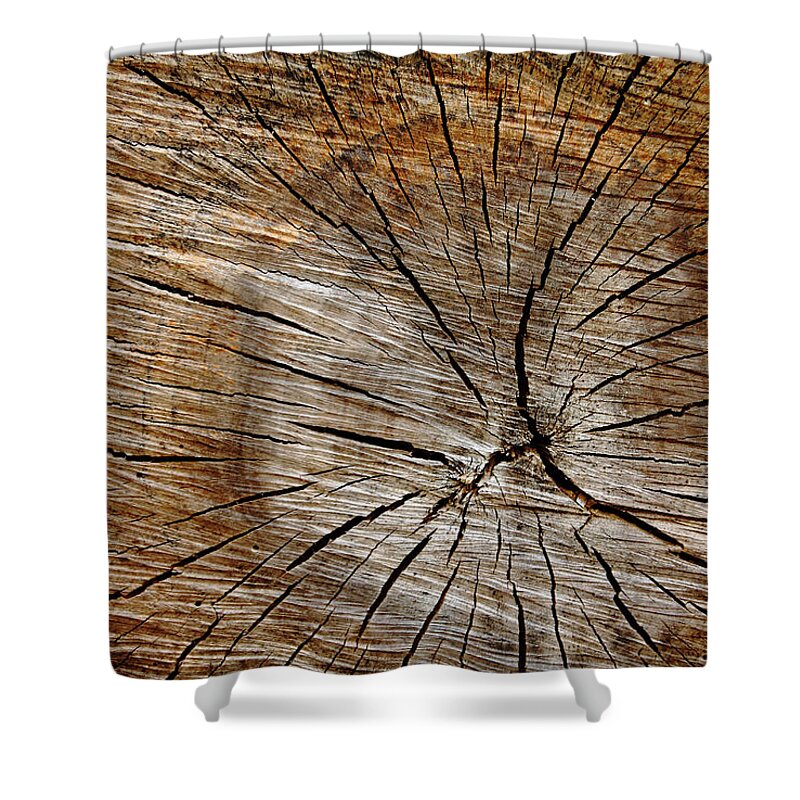 Abstract Shower Curtain featuring the photograph Patterned Wood by Debbie Oppermann