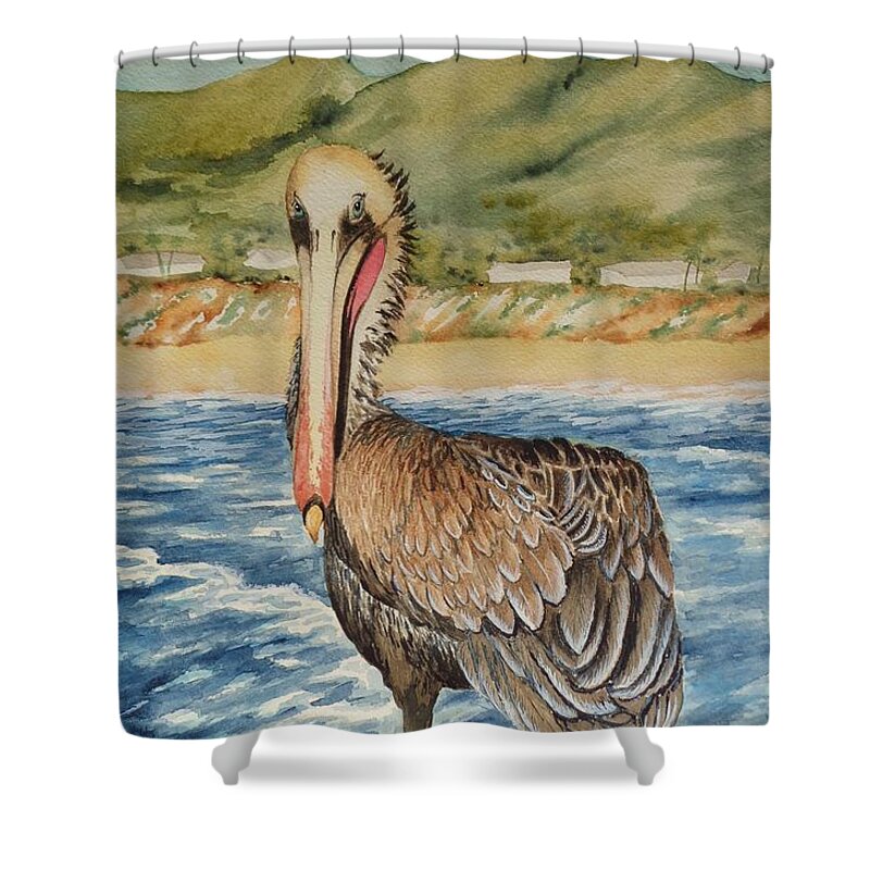 Pelican Shower Curtain featuring the painting Paula's Pelican by Katherine Young-Beck