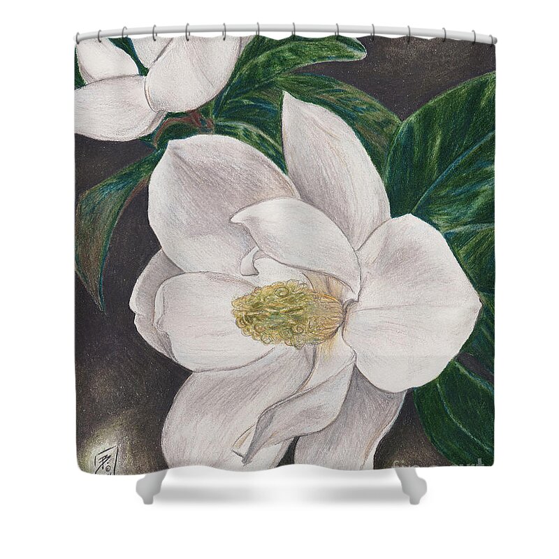 Flowers Shower Curtain featuring the drawing PawPaw's Magnolias by Brandy Woods