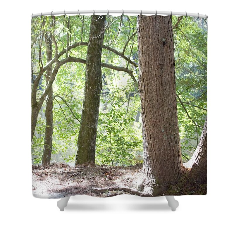 Trees Shower Curtain featuring the photograph Peace by Ali Baucom
