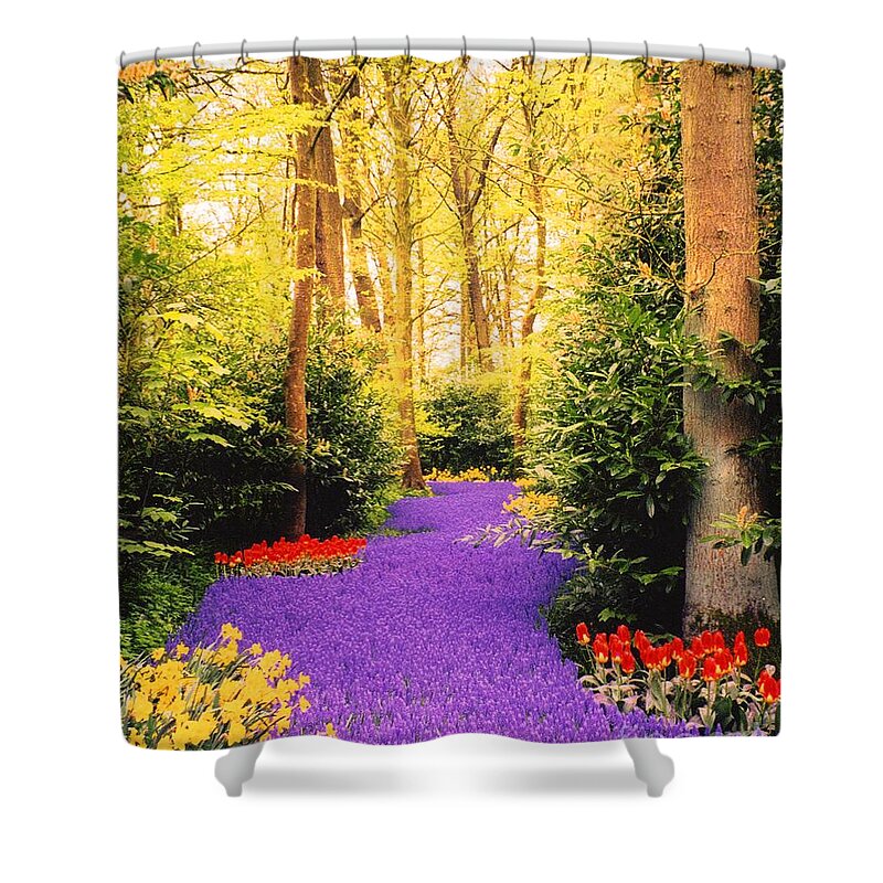 Purple Hyacinth Shower Curtain featuring the photograph Peace, Like a River by Cindy Schneider