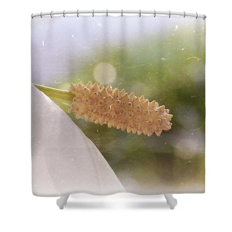 Peace Shower Curtain featuring the photograph Peace Lily by Amber Flowers