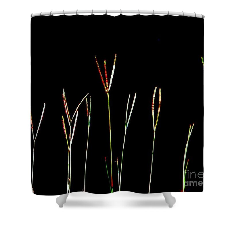 Peace Shower Curtain featuring the photograph Peace by Tim Townsend