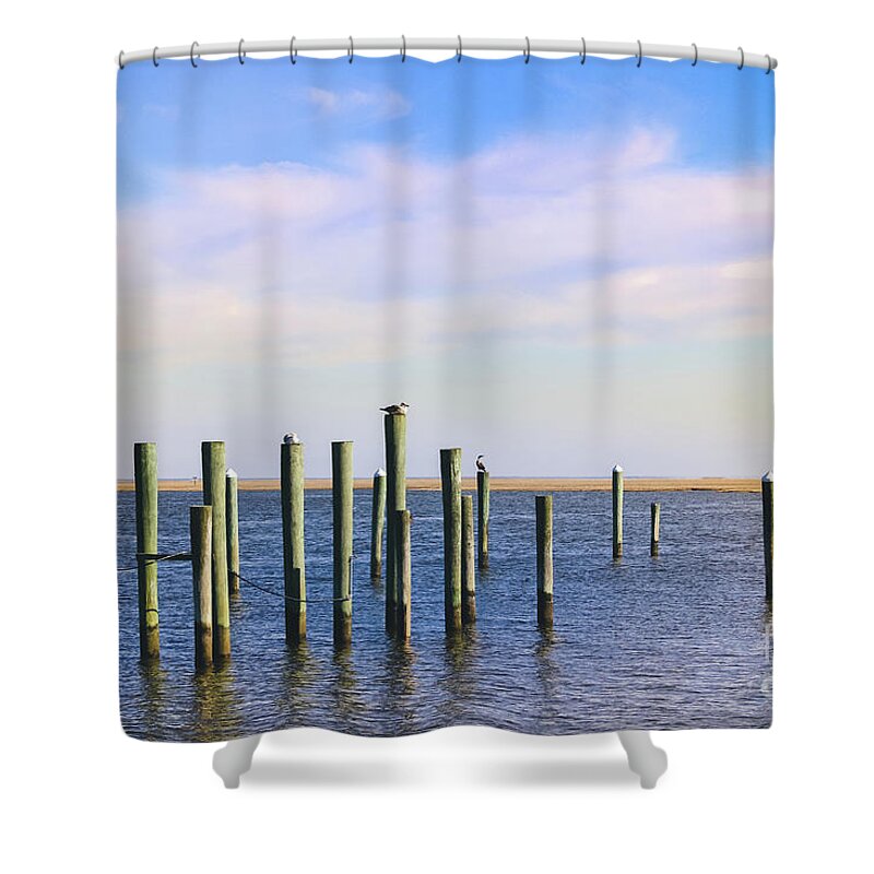 Old Pilings Shower Curtain featuring the photograph Peaceful Tranquility by Colleen Kammerer