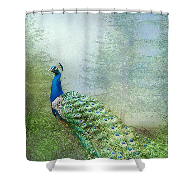 Peacock Shower Curtain featuring the photograph Peacock in the Forest by Bonnie Barry