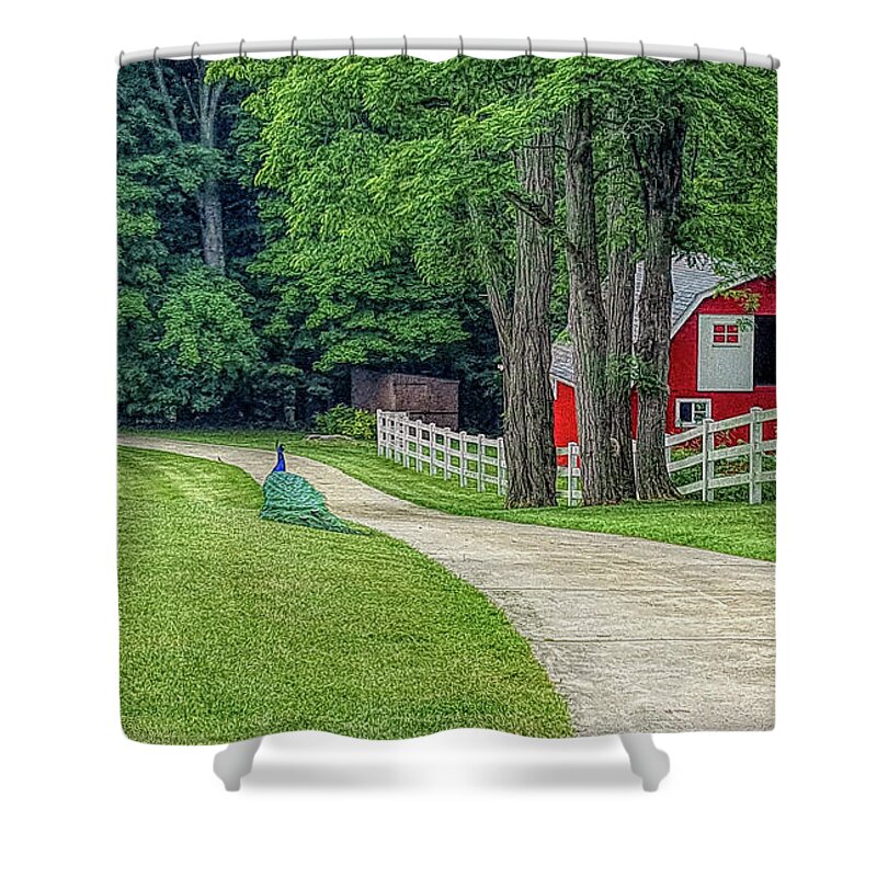 Peacock Shower Curtain featuring the photograph Peacock Ranch by Mary Timman