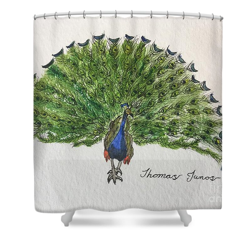 Peacock Shower Curtain featuring the painting Peacock by Thomas Janos
