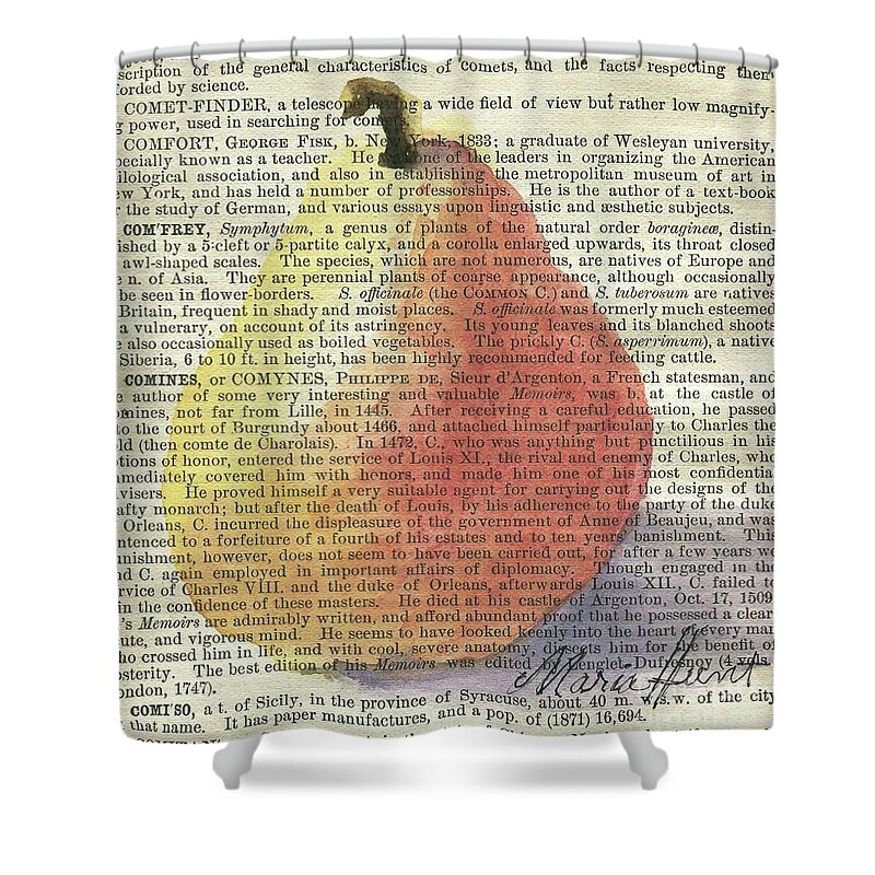 Pear Shower Curtain featuring the painting Pear In The Square by Maria Hunt