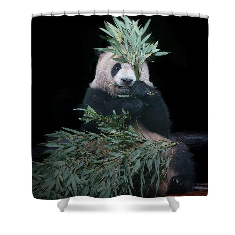 Asia Shower Curtain featuring the photograph Peek-a-boo by Ray Kent