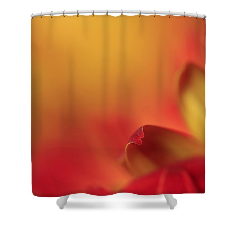 Flower Shower Curtain featuring the photograph Peekaboo by Bob Cournoyer