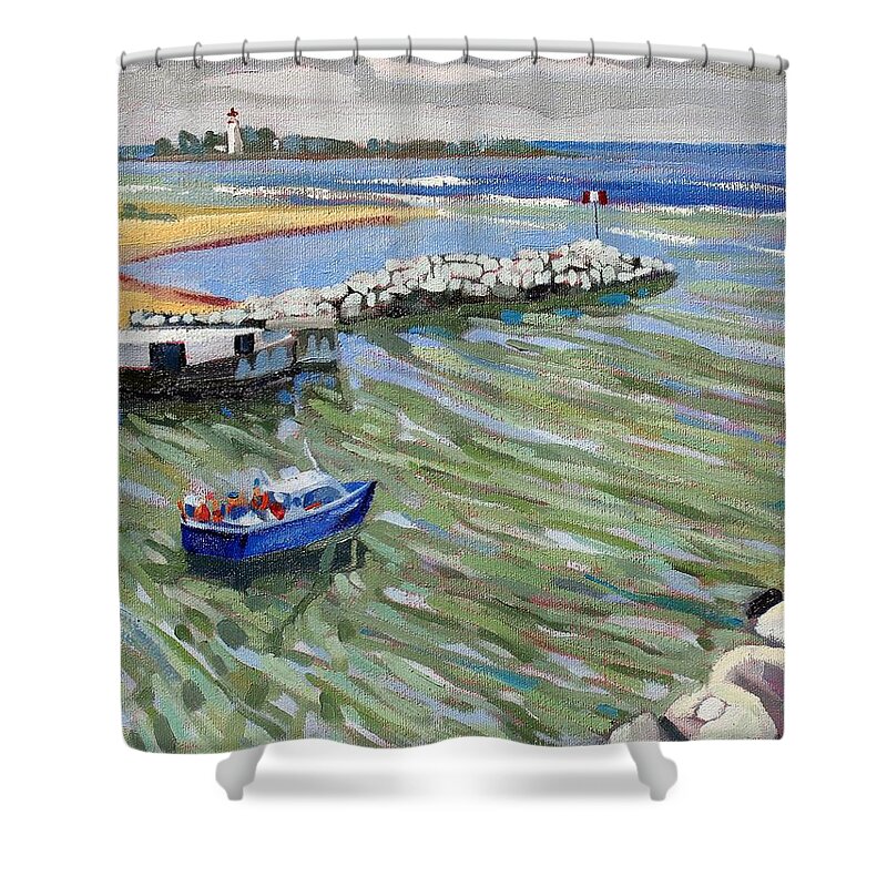 909 Shower Curtain featuring the painting Peerlessly Outbound by Phil Chadwick