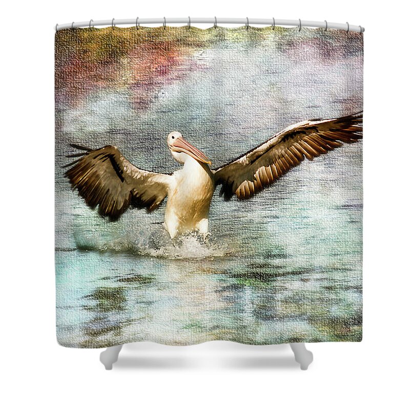 Pelicans Shower Curtain featuring the photograph Pelican art 00174 by Kevin Chippindall
