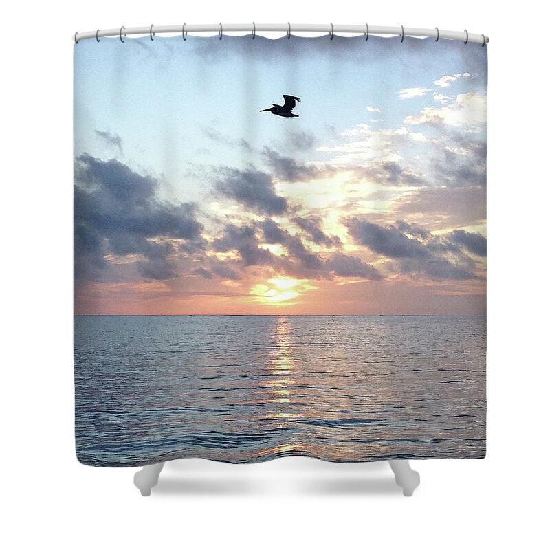 Pelican Shower Curtain featuring the photograph Pelican Dawn by Barbara Von Pagel