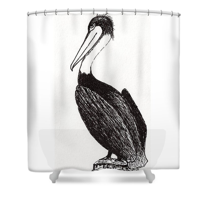 Pelican Shower Curtain featuring the drawing Pelican Paradise Portrait in Ink C2 by Ricardos Creations