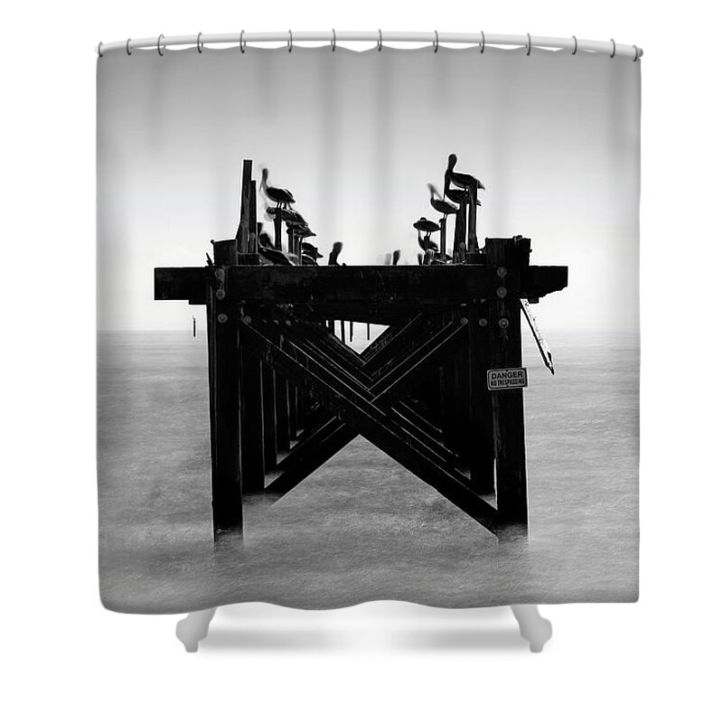 Pelican Pier Shower Curtain featuring the photograph Pelican Pier - Pass Christian - Mississippi by Jason Politte