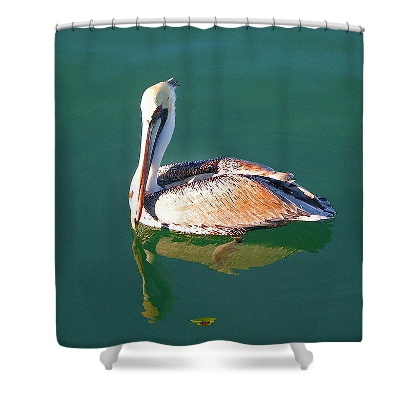 Pelican Reflection On Water Shower Curtain featuring the painting Pelican Reflection by Michael Thomas