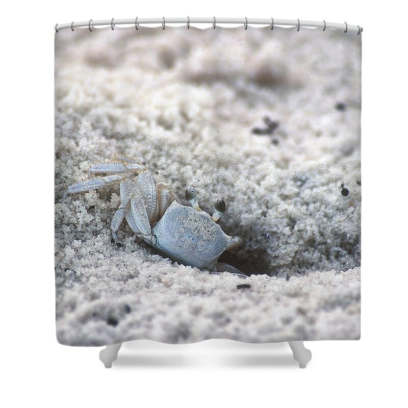 Florida Shower Curtain featuring the photograph Pensacola Beach House by DArcy Evans