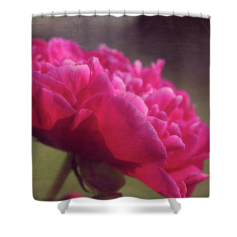 Cindi Ressler Shower Curtain featuring the photograph Peony 994 by Cindi Ressler