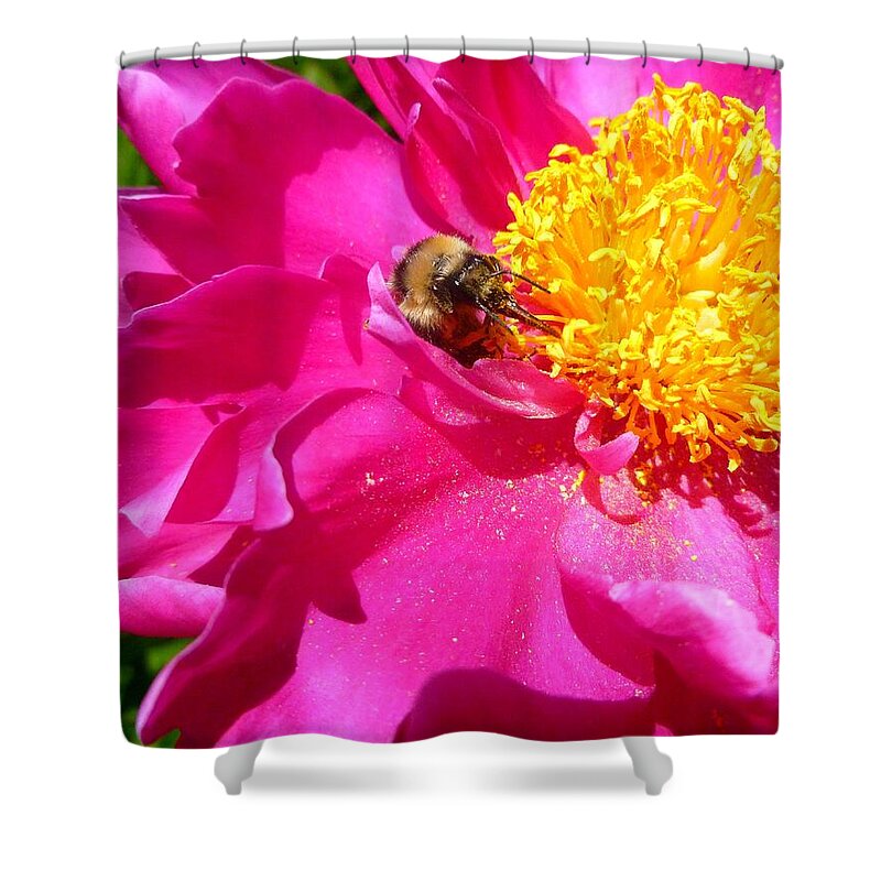 Bee Shower Curtain featuring the photograph Peony and bumble bee by Jean Evans