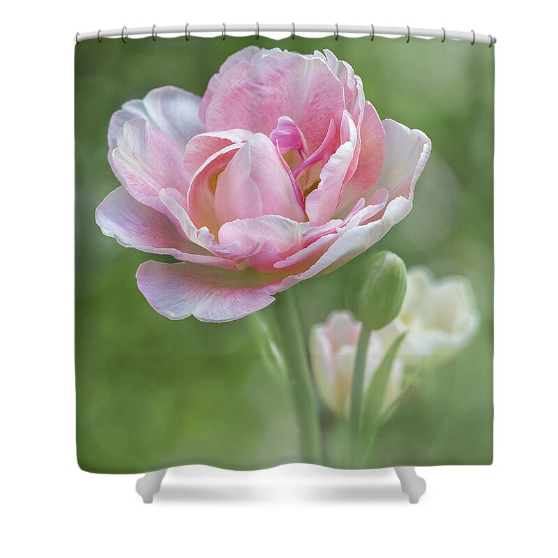 Flower Shower Curtain featuring the photograph Peony Tulip - Vertical Texture by Patti Deters