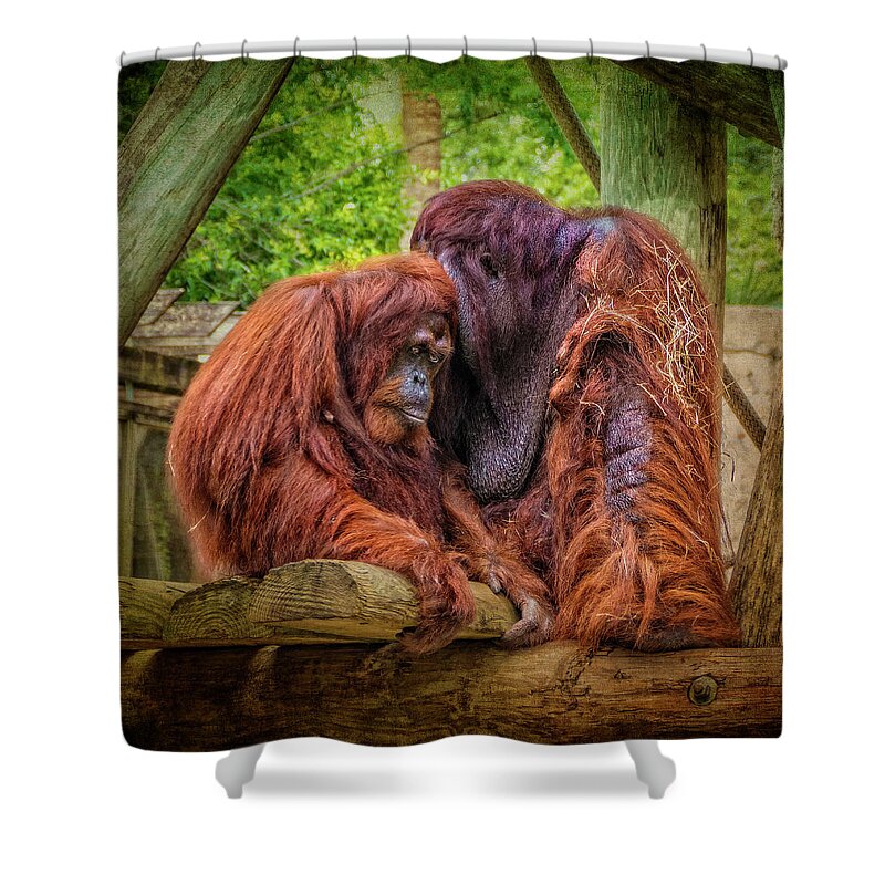 Bornean Orangutan Shower Curtain featuring the photograph People of The Forest by Sandra Selle Rodriguez