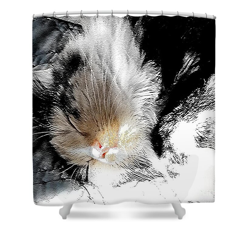 Cat Shower Curtain featuring the digital art Pepper sunface by Deb Nakano