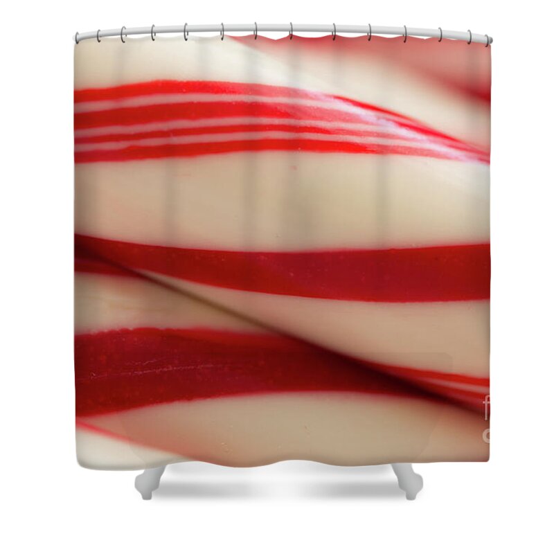 Peppermint Shower Curtain featuring the photograph Pepperminty by Ana V Ramirez