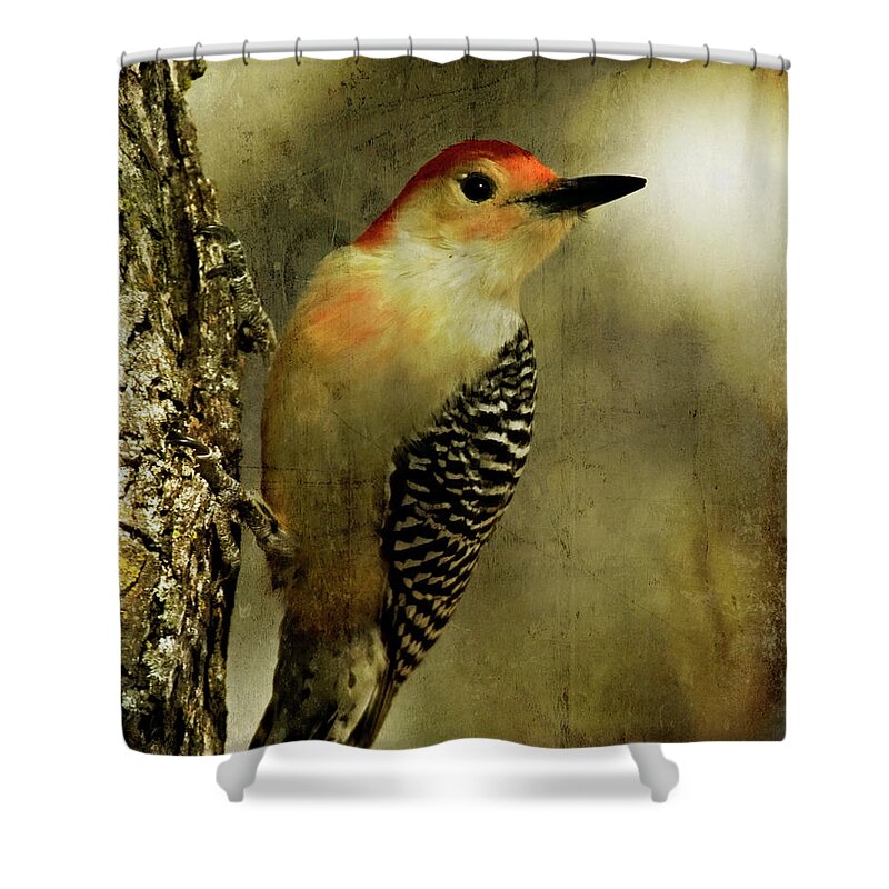 Animal Shower Curtain featuring the digital art Perched and Ready - Weathered by Lana Trussell