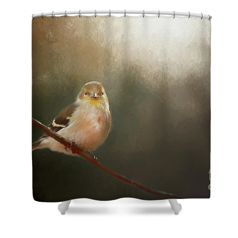 Perched Goldfinch Shower Curtain featuring the photograph Perched Goldfinch by Darren Fisher