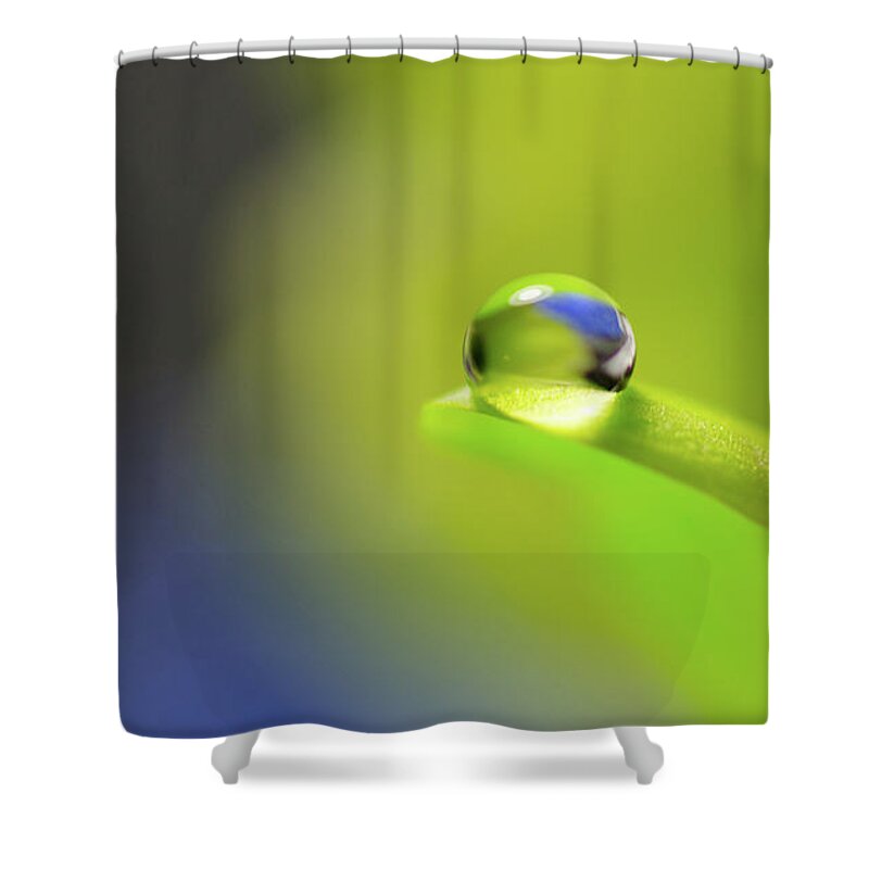 Bokeh Shower Curtain featuring the photograph Perched by Sandra Parlow