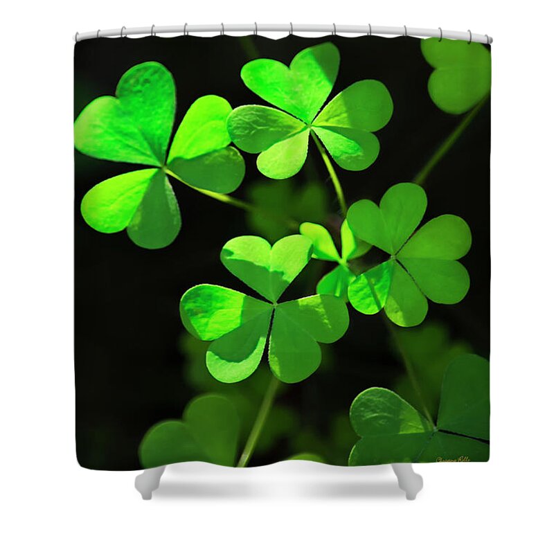 Clover Shower Curtain featuring the photograph Perfect Green Shamrock Clovers by Christina Rollo