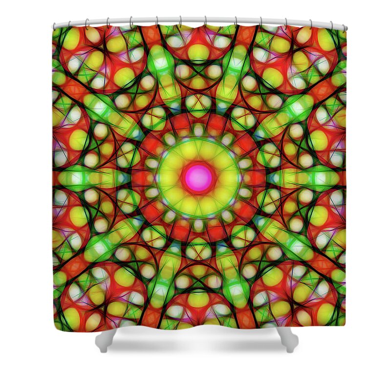 Mandala Art Shower Curtain featuring the painting Perfect by Jeelan Clark