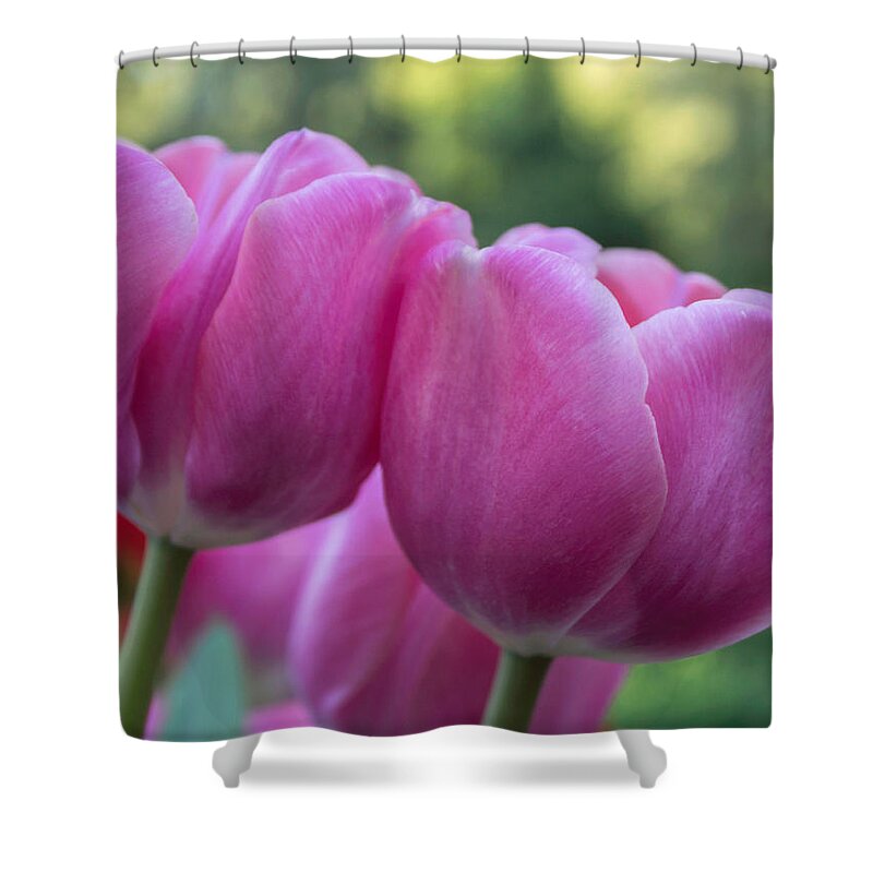 Flower Shower Curtain featuring the photograph Perfect Pair by Arlene Carmel