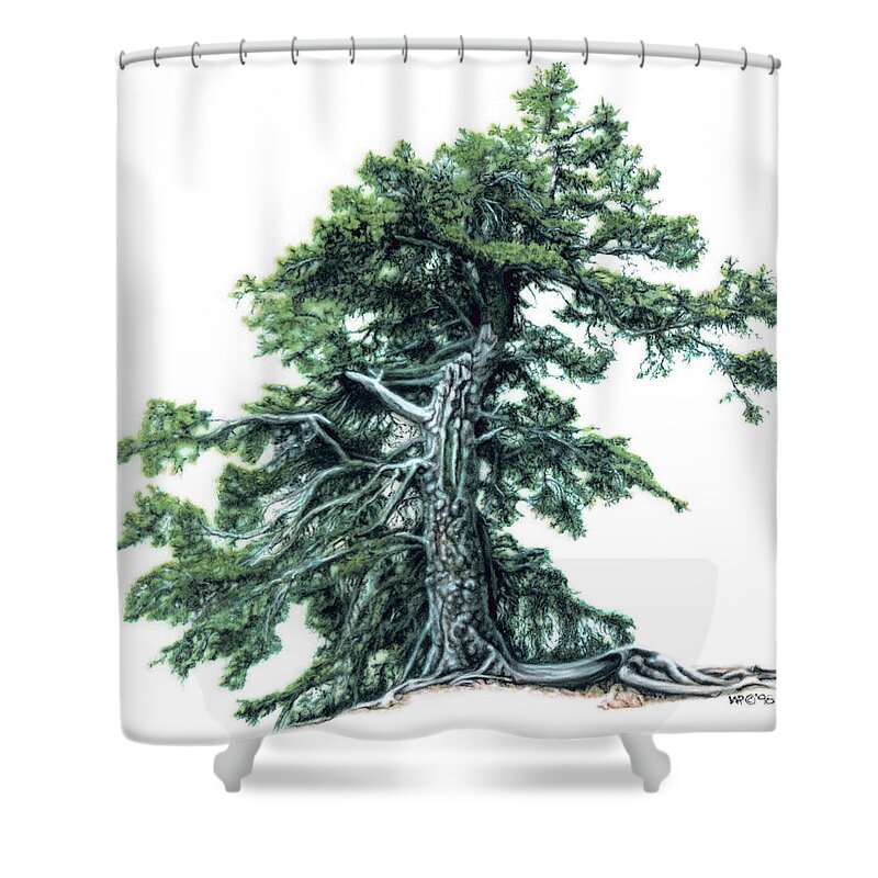 Pine Tree Shower Curtain featuring the painting Perserverance by Wayne Pruse